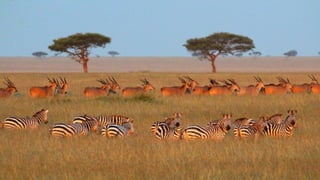 Photos select Octobre