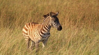 Photos select Octobre