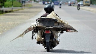 Photos select septembre 2016