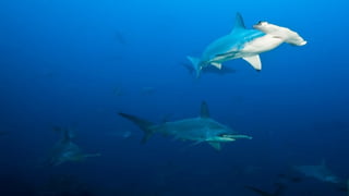 Photos select septembre 2016