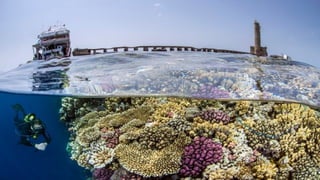 Photos select septembre 2016