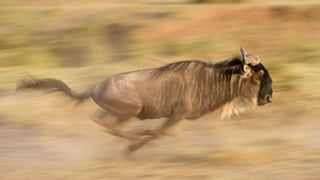 Photos select septembre 2016