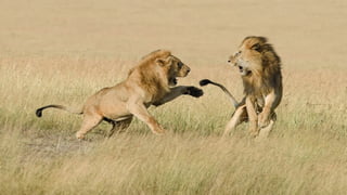 Photos select septembre 2016