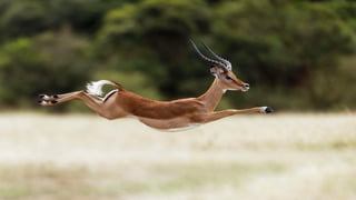 Photos select septembre 2016