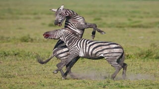 Photos select septembre 2016