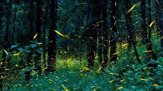 Photos select septembre 2016