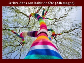 Arbre dans son habit de fête (Allemagne)
 