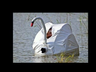 Super Foto's