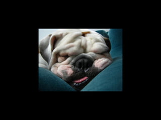 Super Foto's