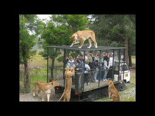 Super Foto's