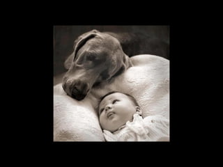 Super Foto's