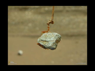 Super Foto's