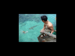 Super Foto's