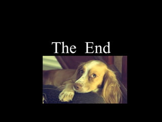 The End
 