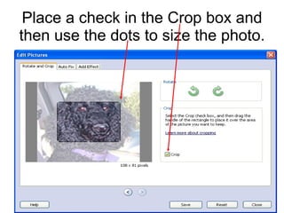 Place a check in the Crop box and then use the dots to size the photo. 