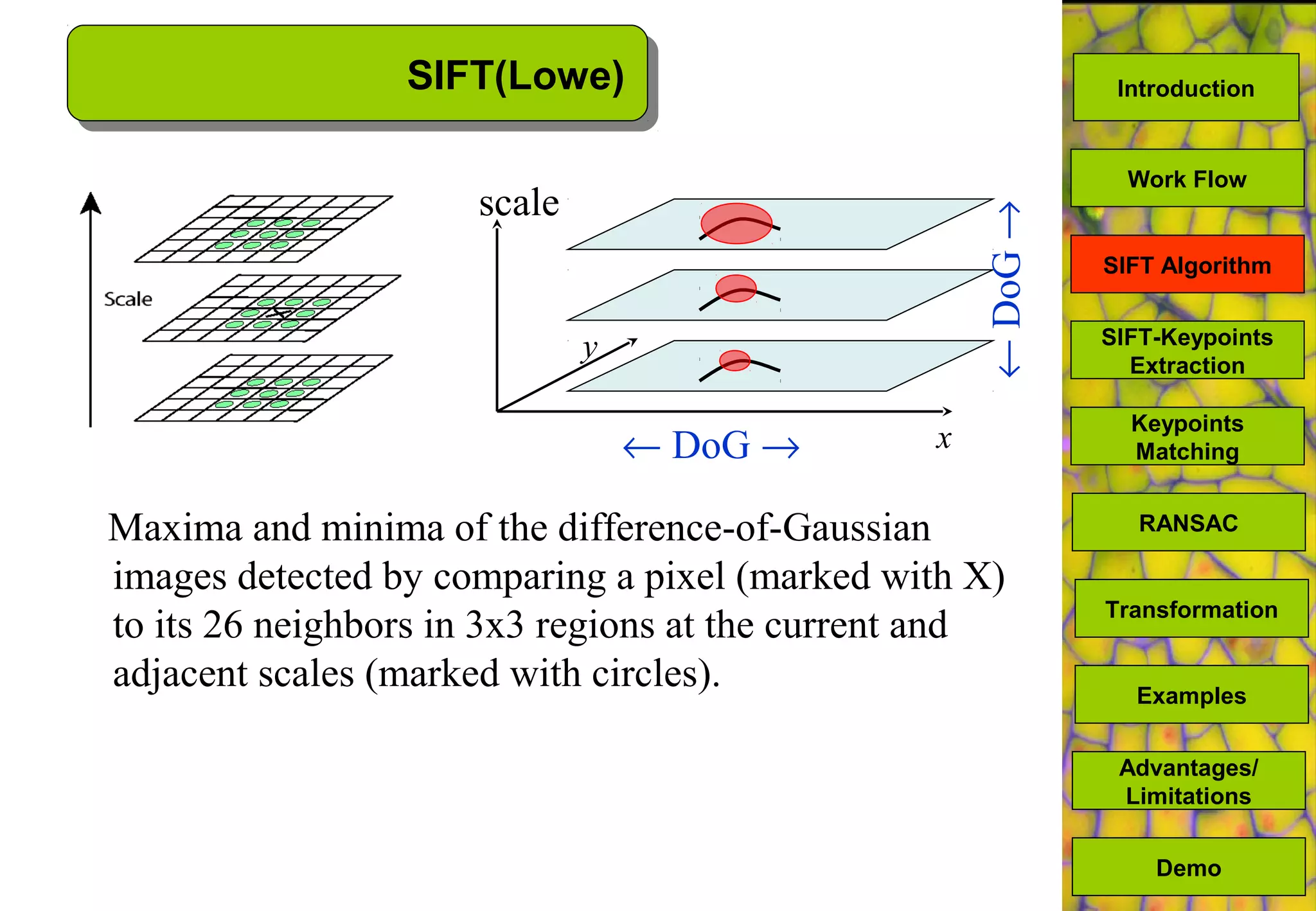 scale
x
y
← DoG →
←DoG→
SIFT(Lowe)
Maxima and minima of the difference-of-Gaussian
images detected by comparing a pixel (marked with X)
to its 26 neighbors in 3x3 regions at the current and
adjacent scales (marked with circles).
SIFT-Keypoints
Extraction
Keypoints
Matching
Work Flow
RANSAC
Advantages/
Limitations
Demo
Transformation
Examples
SIFT Algorithm
Introduction
 