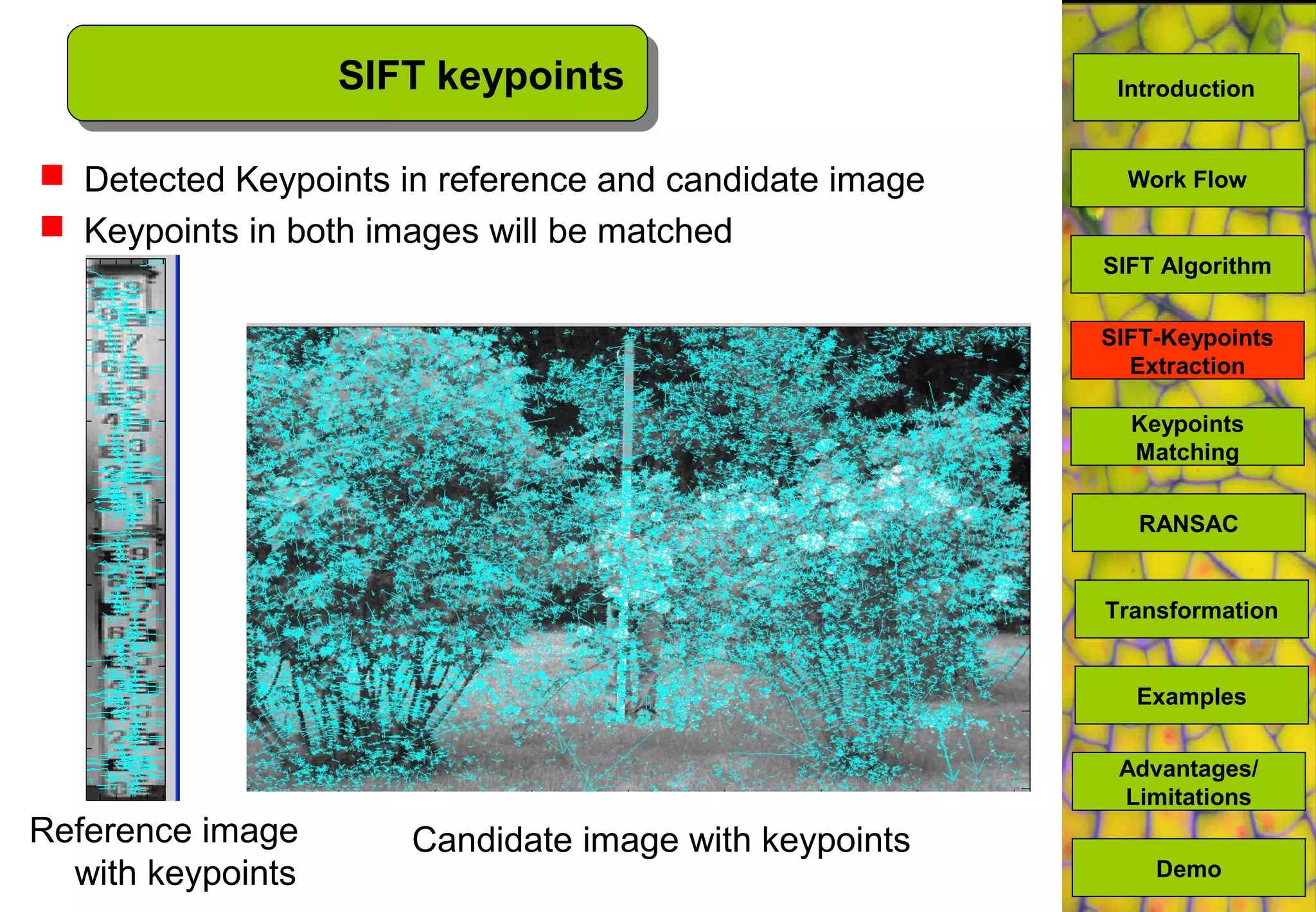 SIFT keypoints
 Detected Keypoints in reference and candidate image
 Keypoints in both images will be matched
Candidate image with keypointsReference image
with keypoints
SIFT Algorithm
Keypoints
Matching
Work Flow
RANSAC
Advantages/
Limitations
Demo
Transformation
Examples
SIFT-Keypoints
Extraction
Introduction
 