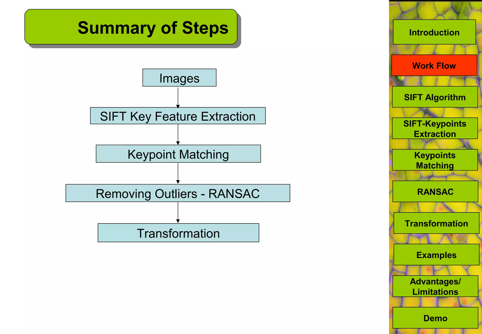 Summary of Steps
Images
SIFT Key Feature Extraction
Keypoint Matching
Removing Outliers - RANSAC
Transformation
Introduction
SIFT Algorithm
SIFT-Keypoints
Extraction
Keypoints
Matching
Work Flow
RANSAC
Advantages/
Limitations
Demo
Transformation
Examples
 