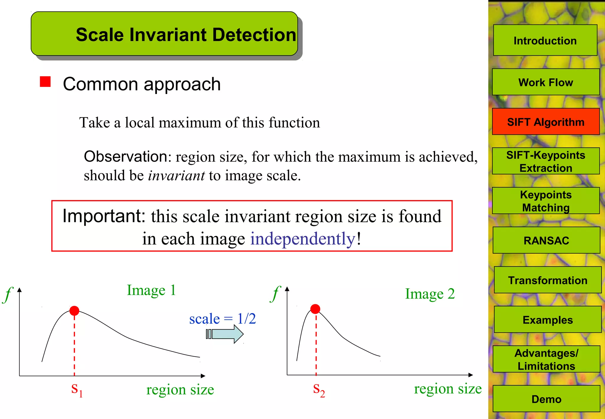  Common approach
scale = 1/2
f
region size
Image 1 f
region size
Image 2
Take a local maximum of this function
Observation: region size, for which the maximum is achieved,
should be invariant to image scale.
s1 s2
Important: this scale invariant region size is found
in each image independently!
Scale Invariant Detection
SIFT-Keypoints
Extraction
Keypoints
Matching
Work Flow
RANSAC
Advantages/
Limitations
Demo
Transformation
Examples
SIFT Algorithm
Introduction
 