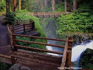 Mount Hood Wilderness Waterfall 