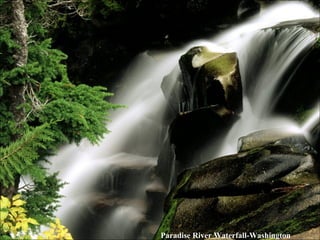 Paradise River Waterfall-Washington 