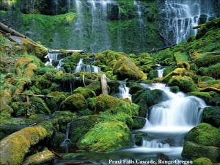 Proxi Falls Cascade, Range-Oregon 