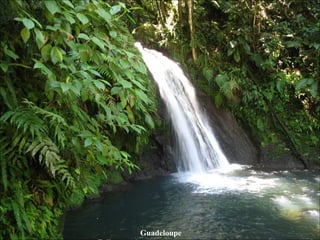 Guadeloupe Falls 
