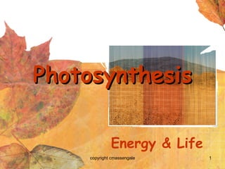 Photosynthesis Energy & Life copyright cmassengale 