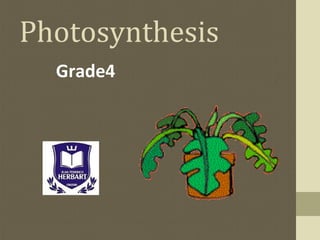 Photosynthesis
  Grade4
 