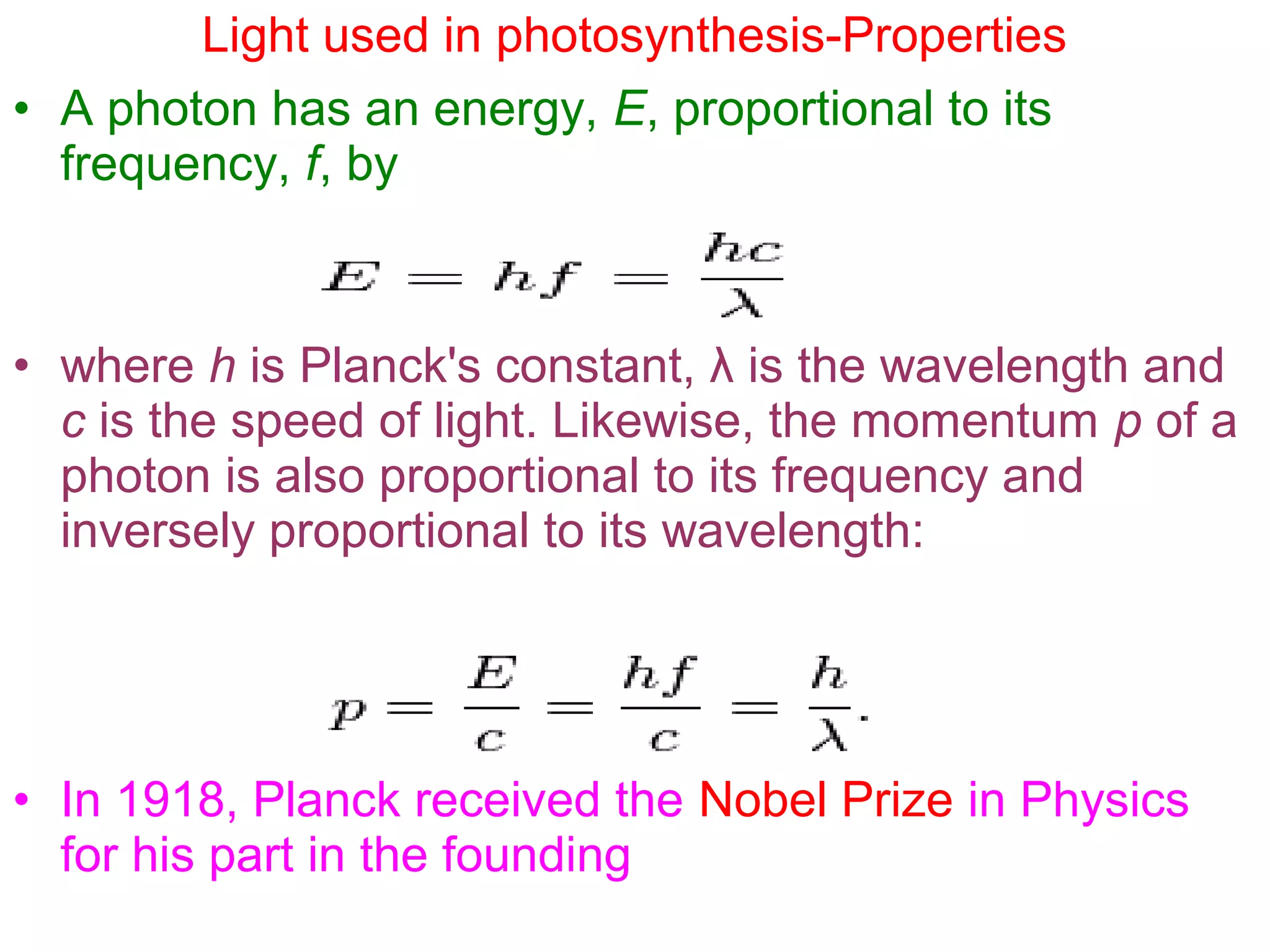 Photosynthesis | PPT