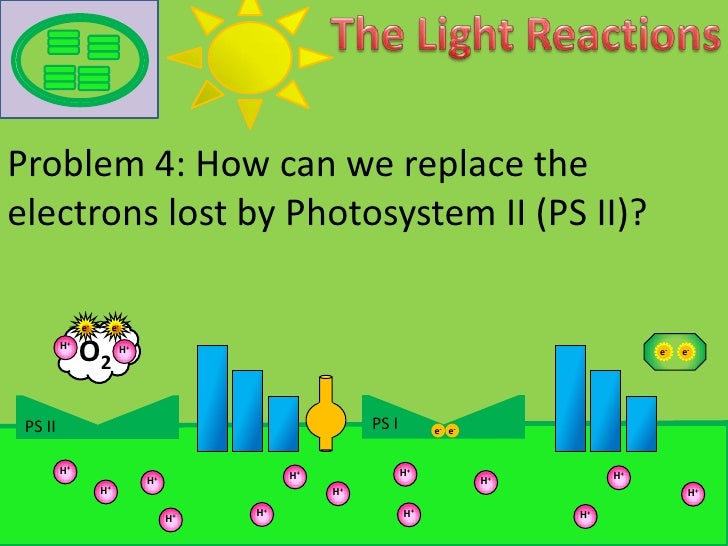 Chemosynthetic mode of nutrition image