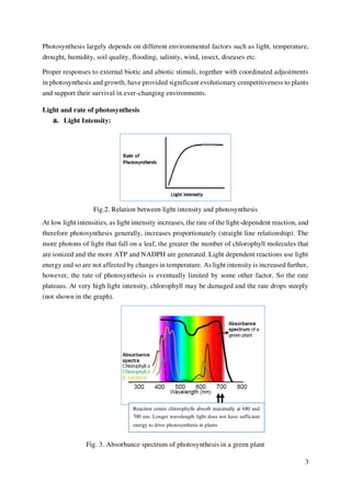 Dealing with Environmental Factors Affecting Guitar Tuning