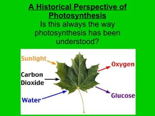 A Historical Perspective of Photosynthesis Is this always the way photosynthesis has been understood? 
