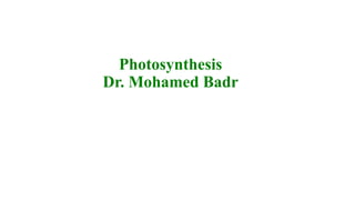Photosynthesis
Dr. Mohamed Badr
 
