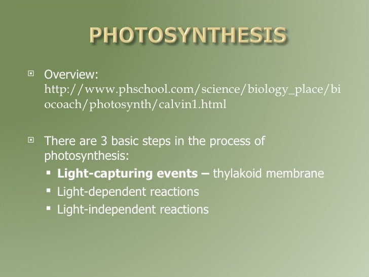 Www Phschool Com Science Biology Place Labbench