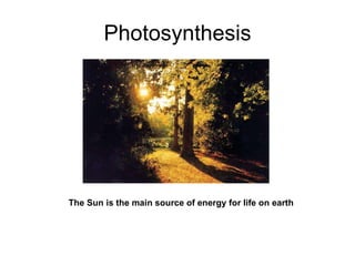 Photosynthesis The Sun is the main source of energy for life on earth 
