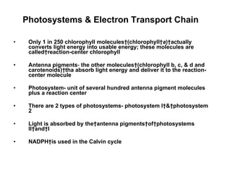 Photosystems & Electron Transport Chain   Only 1 in 250 chlorophyll molecules (chlorophyll  a ) actually converts light energy into usable energy; these molecules are called reaction-center chlorophyll Antenna pigments -  the other molecules (chlorophyll b, c, & d and carotenoids) tha absorb light energy and deliver it to the reaction-center molecule   Photosystem- unit of several hundred antenna pigment molecules plus a reaction center There are 2 types of photosystems- photosystem I & photosystem 2 Light is absorbed by the antenna pigments of photosystems II and I NADPH is used in the Calvin cycle   