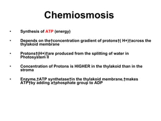 Chemiosmosis   Synthesis of  ATP  (energy) Depends on the concentration gradient of protons ( H+) across the thylakoid membrane Protons (H+) are produced from the splitting of water in Photosystem II Concentration of Protons is HIGHER in the thylakoid than in the stroma Enzyme, ATP synthetase in the thylakoid membrane, makes ATP by adding a phosphate group to ADP 