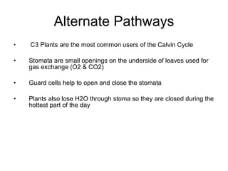 Alternate Pathways   C3 Plants are the most common users of the Calvin Cycle Stomata are small openings on the underside of leaves used for gas exchange (O2 & CO2) Guard cells help to open and close the stomata Plants also lose H2O through stoma so they are closed during the hottest part of the day 