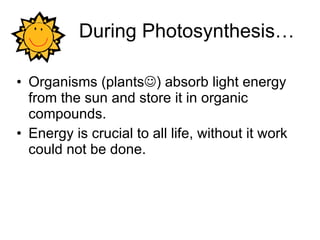 During Photosynthesis… Organisms (plants  ) absorb light energy from the sun and store it in organic compounds. Energy is crucial to all life, without it work could not be done. 