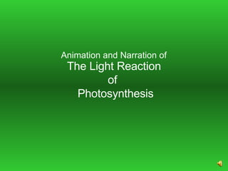 The Light Reaction of   Photosynthesis Animation and Narration of   