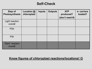Self-Check
Step of
Photosynthesis
Location IN
chloroplast
Inputs Outputs ATP
produced?
(don’t need #)
e- carriers
loaded?
Light reaction
overall
PSII
PSI
“Dark” reaction
overall
Know figures of chloroplast reactions/locations! 
 