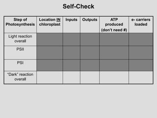 Self-Check
Step of
Photosynthesis
Location IN
chloroplast
Inputs Outputs ATP
produced
(don’t need #)
e- carriers
loaded
Light reaction
overall
PSII
PSI
“Dark” reaction
overall
 