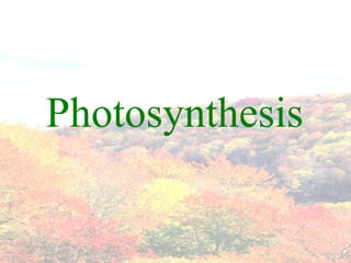 Photosynthesis

 