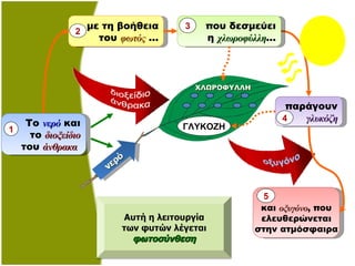 νερό Αυτή η λειτουργία των φυτών λέγεται φωτοσύνθεση Το  νερό  και το  διοξείδιο του   άνθρακα  1 παράγουν γλυκόζη 4 με τη βοήθεια του  φωτός  … 2 και  οξυγόνο ,   που ελευθερώνεται στην ατμόσφαιρα 5 ΓΛΥΚΟΖΗ ΧΛΩΡΟΦΥΛΛΗ που δεσμεύει η  χλωροφύλλη … 3 