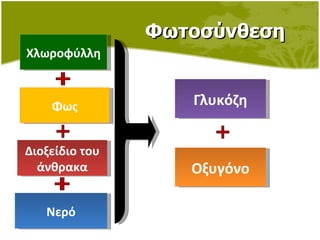 Φωτοσύνθεση Χλωροφύλλη Φως Νερό Διοξείδιο του άνθρακα Γλυκόζη Οξυγόνο 