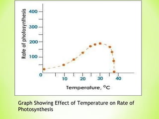 Graph Showing Effect of Temperature on Rate of Photosynthesis 