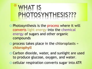 Photosynthesis is the  process   where it will  converts   light energy  into the  chemical energy  of sugars and other organic compounds process takes place in the   chloroplasts  =  chlorophyll Carbon dioxide, water, and sunlight are used to produce glucose, oxygen, and water . cellular respiration converts sugar into ATP. 