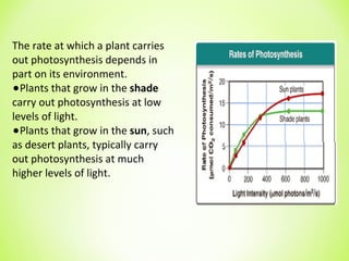 The rate at which a plant carries out photosynthesis depends in part on its environment. Plants that grow in the  shade  carry out photosynthesis at low levels of light. Plants that grow in the  sun , such as desert plants, typically carry out photosynthesis at much higher levels of light. 