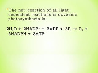 The net-reaction of all light-dependent reactions in oxygenic photosynthesis is: 2H 2 O + 2NADP +  + 3ADP + 3P i  -> O 2  + 2NADPH + 3ATP 